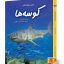 کتاب دنیای هیجان انگیز کوسه ها