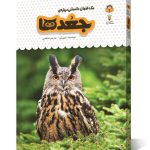 یک فنجان دانستنی درباره ی جغدها