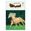 کتاب یک فنجان دانستنی درباره ی اسب ها