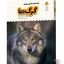 کتاب یک فنجان دانستنی درباره ی گرگ ها