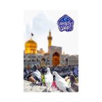 قاب شاسی کبوتر حرم