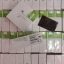 ایرپاد AirPods 2 پک عرب اصلی (REDINGTON)